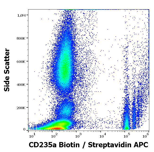 Anti-Hu CD235a Biotin
