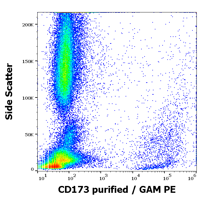Anti-Hu CD173 Purified