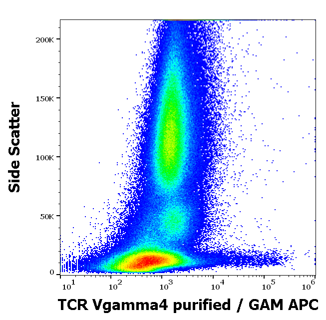TCR Vgamma4 Antibody