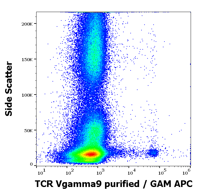 TCR Vgamma9 Antibody