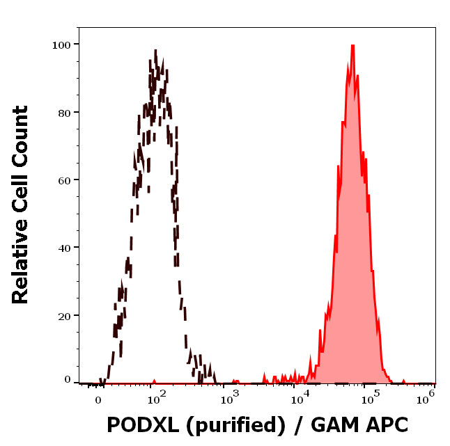 PODXL Antibody