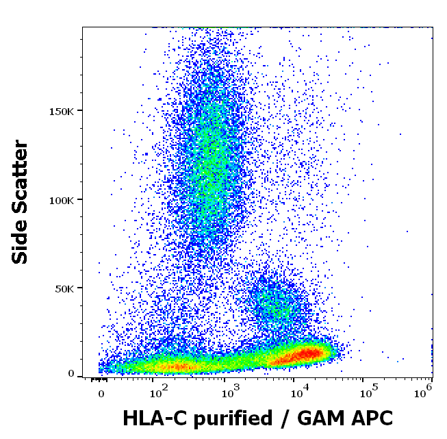 Anti-HLA-C Purified