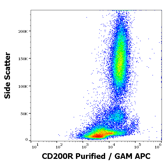 Anti-Hu CD200R Purified
