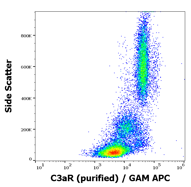 C3aR Antibody