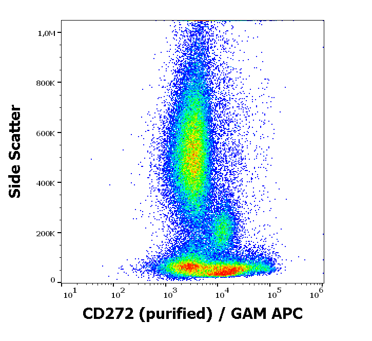 CD272 Antibody