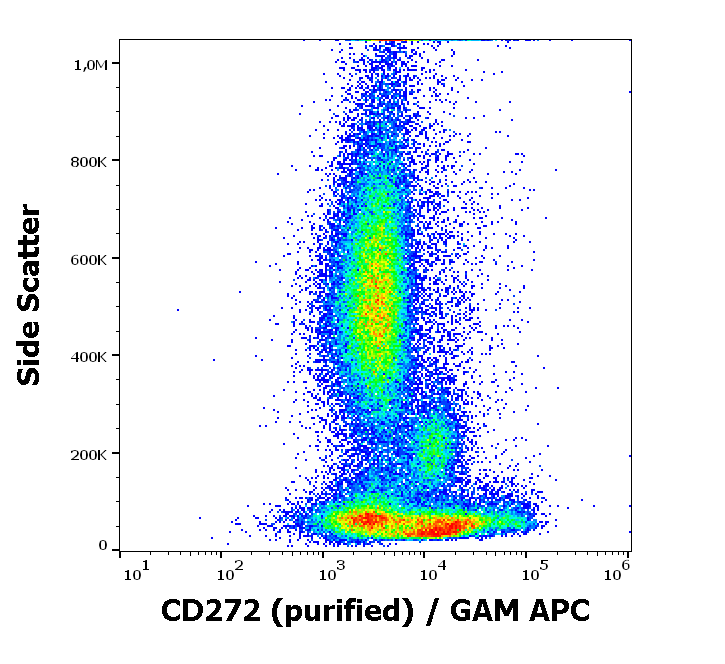 Anti-Hu CD272 Purified