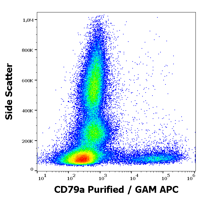 Anti-Hu CD79a Purified