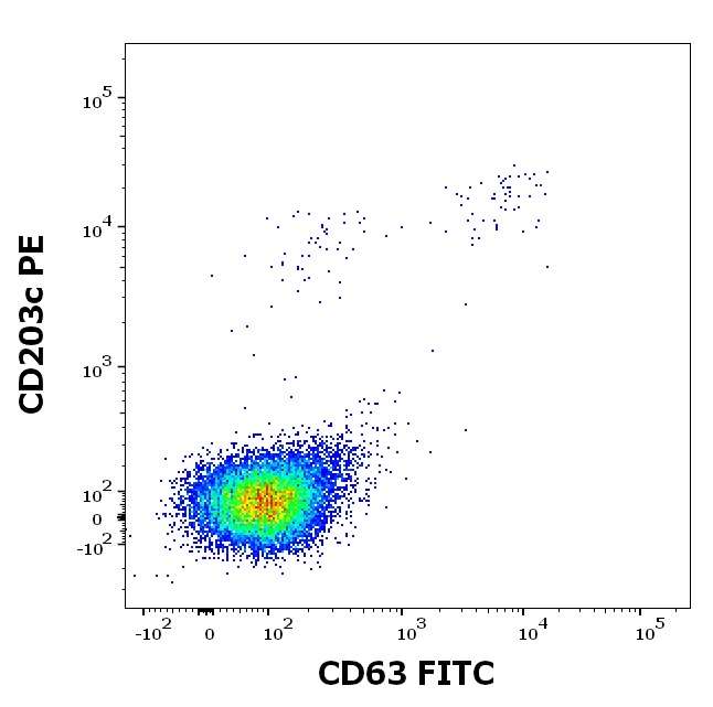 rBet v 7 (Betula verrucosa 7.0101) Antibody