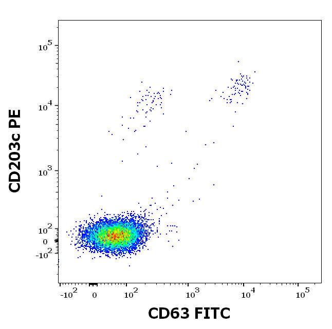 rMal d 1 (Malus domestica 1.0101) Antibody