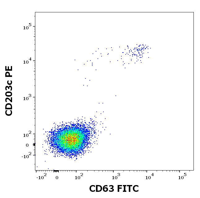 rCor a 1 (Corylus avellana 1.0401) Antibody