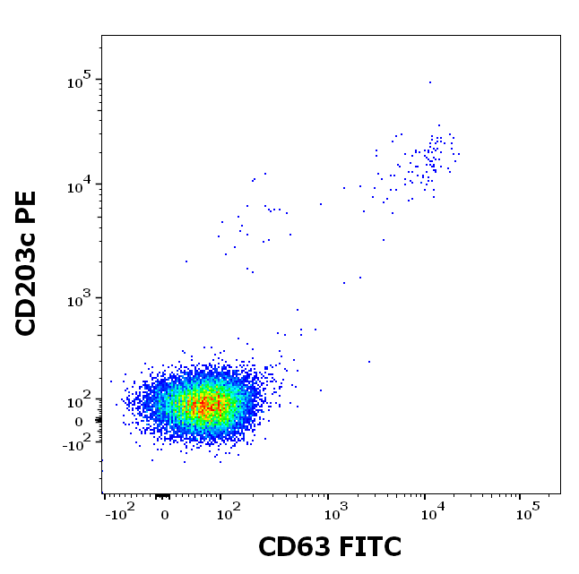 rFel d 1 (Felis domesticus 1.0101) Antibody