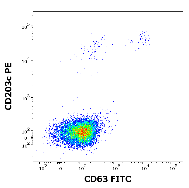 rCan f 1 (Canis familiaris 1.0101) Antibody