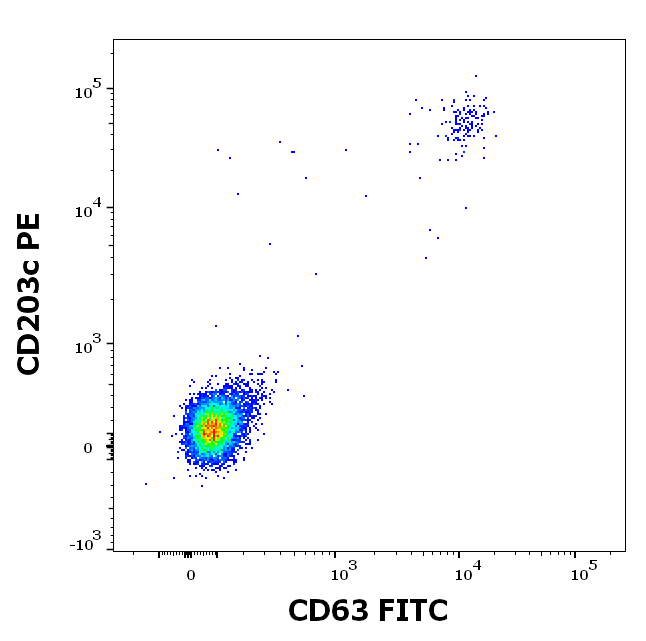 rVes v 5 (Vespula vulgaris 5.0101) Antibody