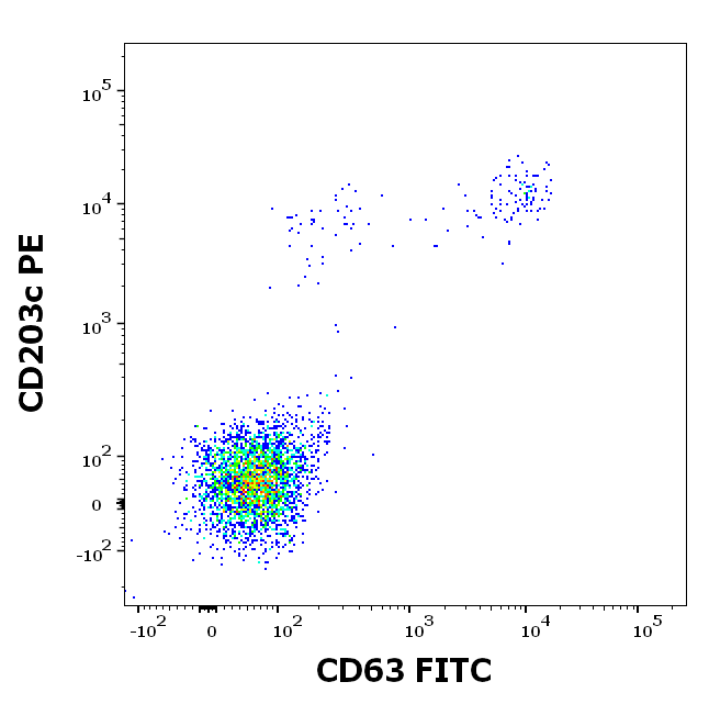 rVes v 1 (Vespula vulgaris 1.0101) Antibody