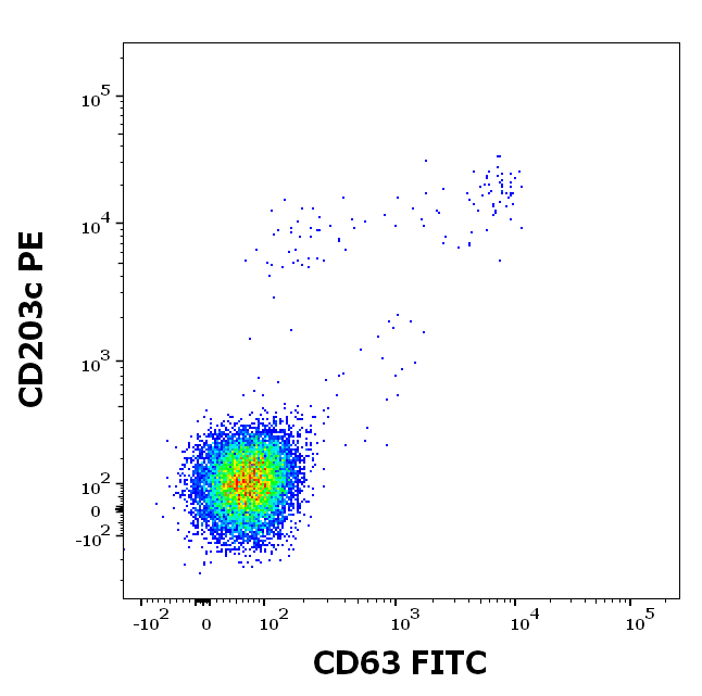rPhl p 7 (Phleum pratense 7.0101) Antibody