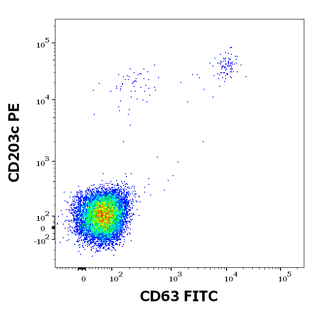 rPhl p 5 (Phleum pratense 5.0101) Antibody