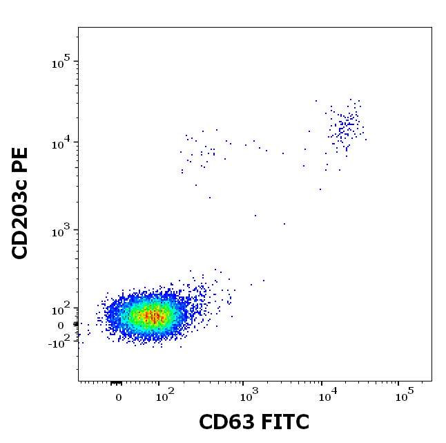 rBet v 1 (Betula verrucosa 1.0101) Antibody