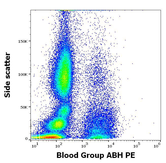 Blood Group ABH Antibody (PE)
