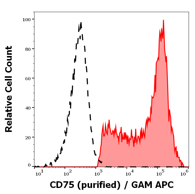 CD75 Antibody