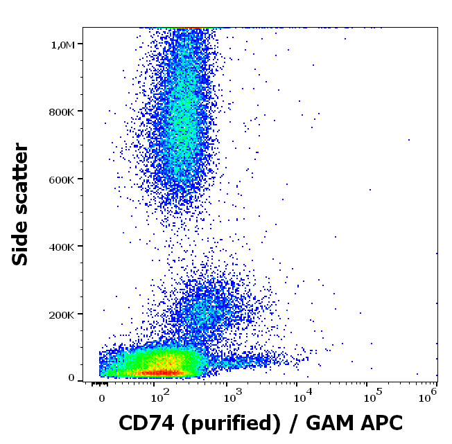 CD74 Antibody