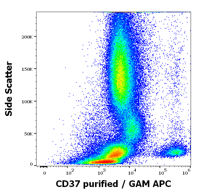 Anti-Hu CD37 Purified