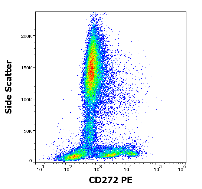 Anti-Hu CD272 PE