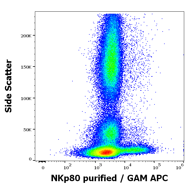 Anti-Hu NKp80 Purified