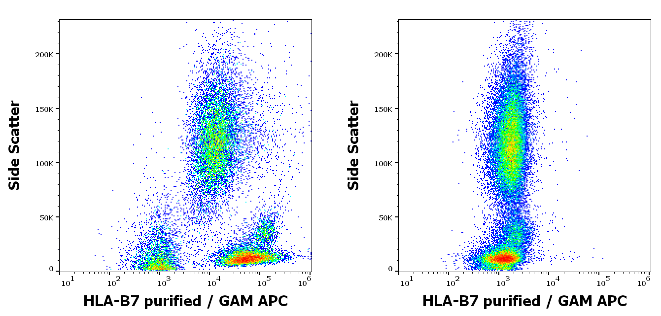 Anti-HLA-B7 Purified