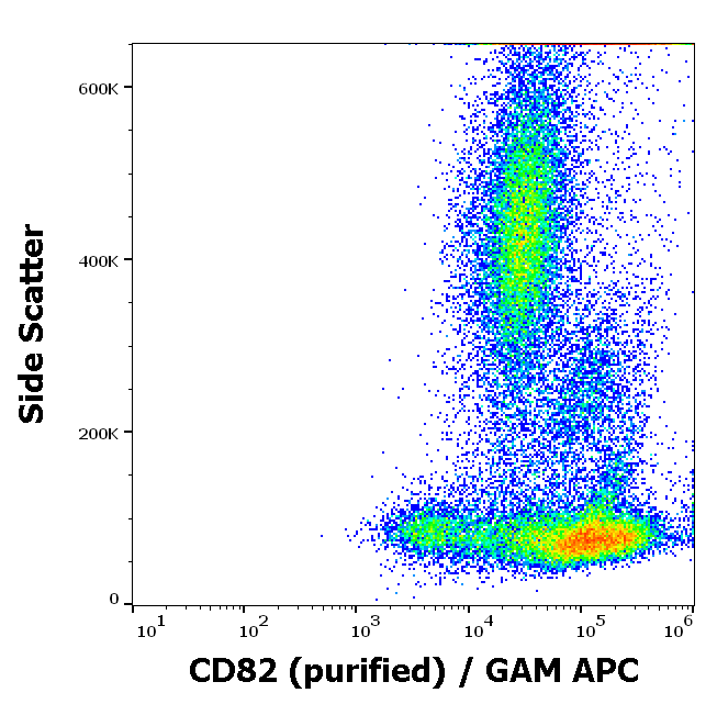 Anti-Hu CD82 Purified