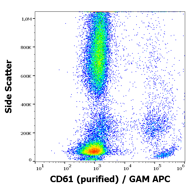 CD61 Antibody