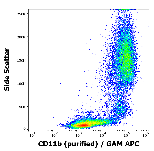 CD11b antibody