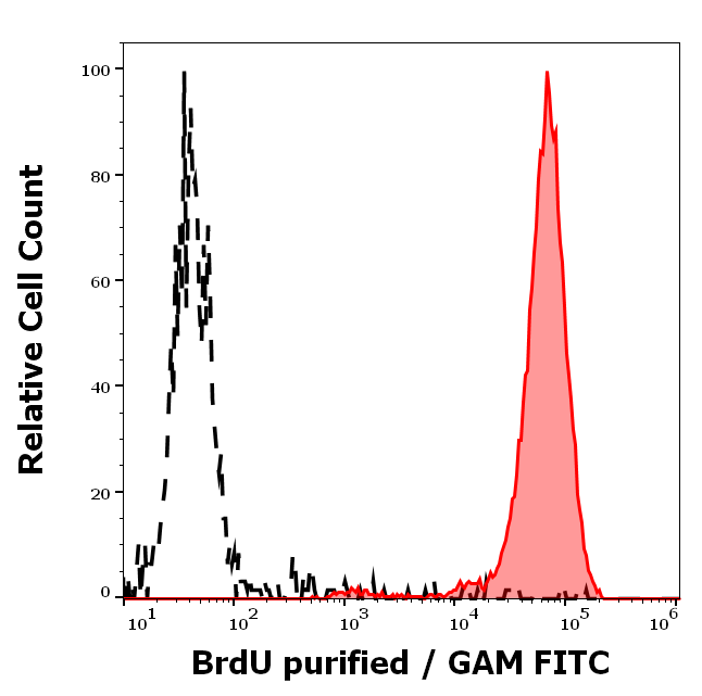 Anti-BrdU Purified