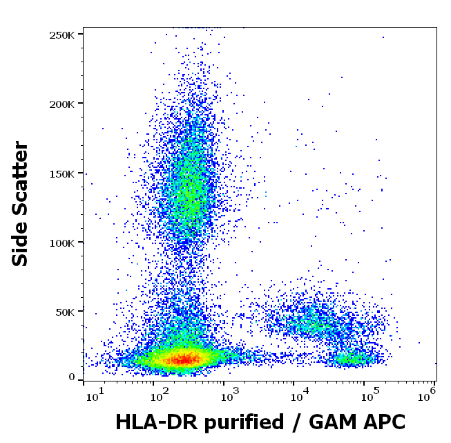 HLA-DR Antibody