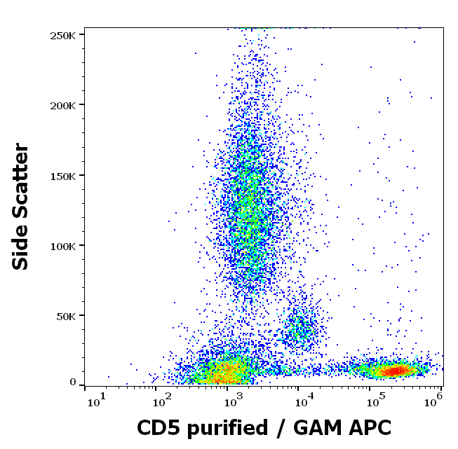 Anti-Hu CD5 Purified
