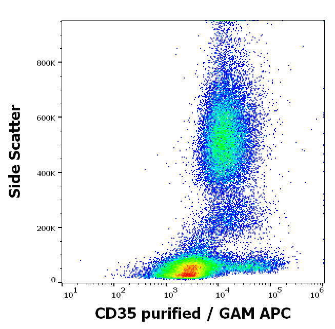 CD35 Antibody
