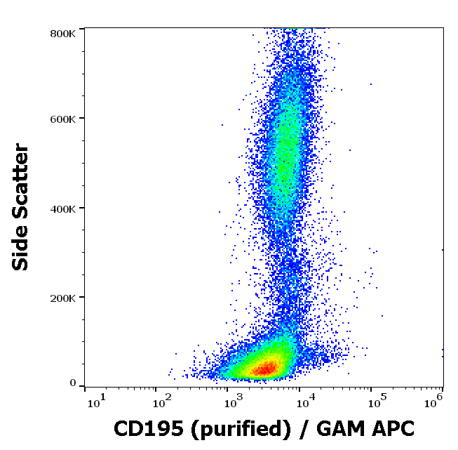 Anti-Hu CD195 Purified