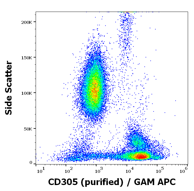Anti-Hu CD305 Purified