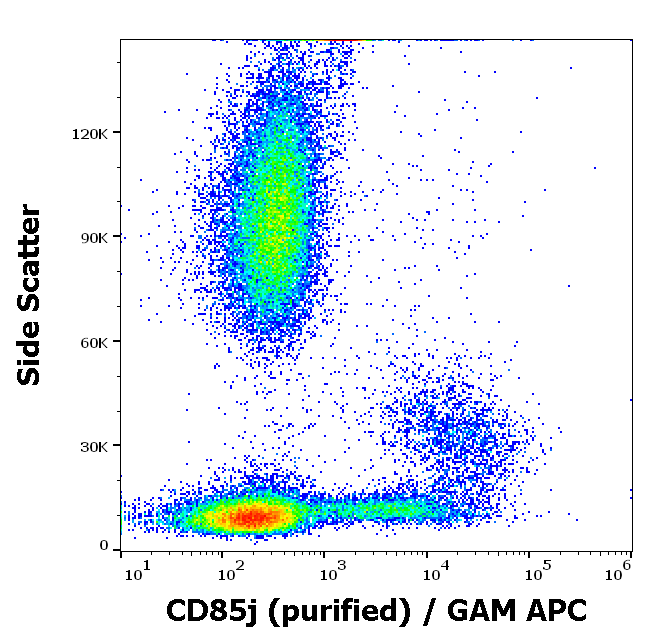 Anti-Hu CD85j Purified