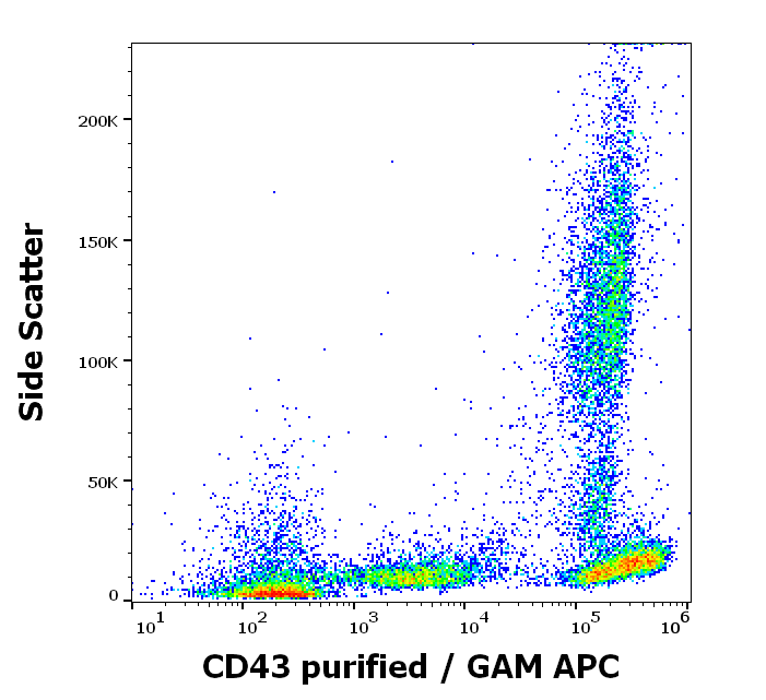 Anti-Hu CD43 Purified Low Endotoxin