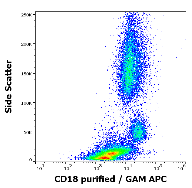 CD18 antibody