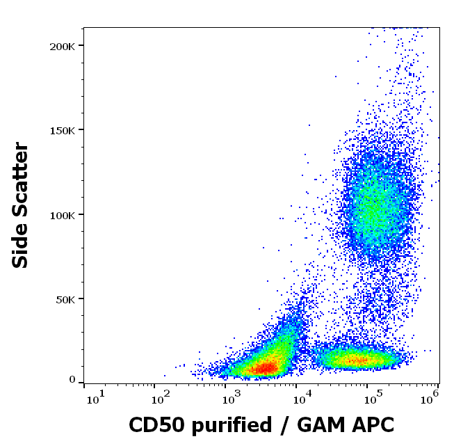 Anti-Hu CD50 Purified Low Endotoxin