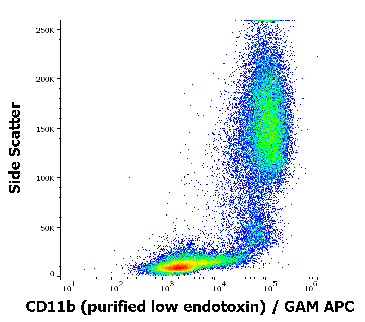 CD11b antibody