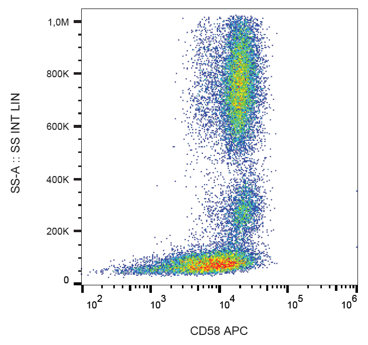 CD58 Antibody (APC)