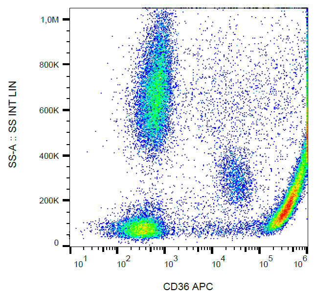 CD36 Antibody (APC)