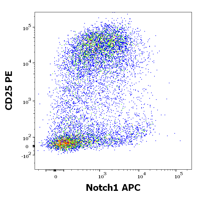 Notch 1 antibody (APC)