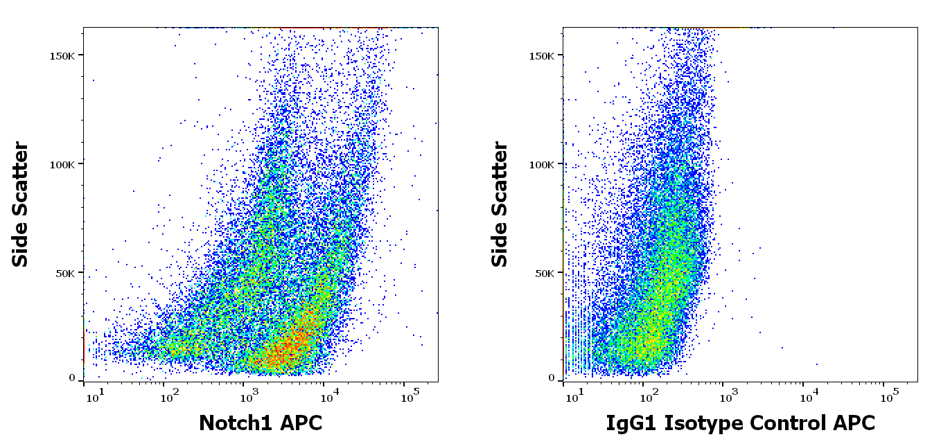 Notch 1 antibody (APC)