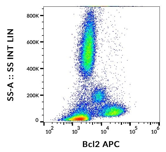 BCL2 Antibody (APC)