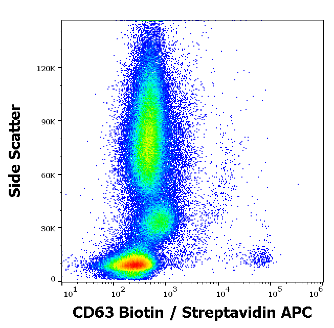 Anti-Hu CD63 Biotin