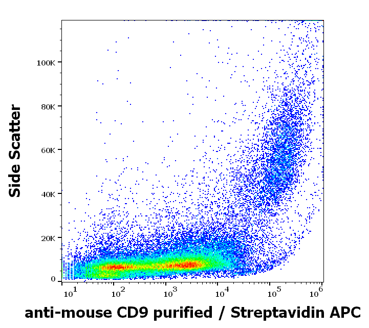 Anti-Ms CD9 Biotin