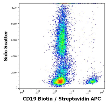 CD19 Antibody (Biotin)